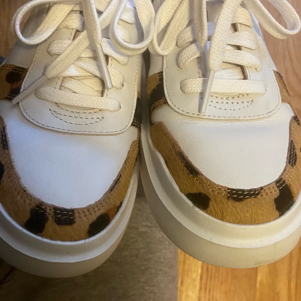 COLE HAAN Women's GrandPrø Rally Court Sneaker in Cheetah Print 🐆